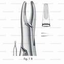 extracting forceps, american pattern - figure 1b