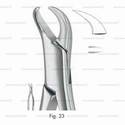 extracting forceps, american pattern - figure 23