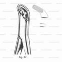 extracting forceps, american pattern - figure 27