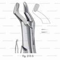 extracting forceps, american pattern - figure 210s