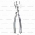 extracting forceps, american pattern - figure 286