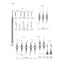 buck single ended periodontal files