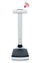 seca 703 high capacity column scale with wireless transmission
